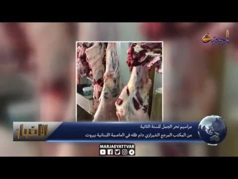 #الاخبار اليومية 16 شعبان المعظم