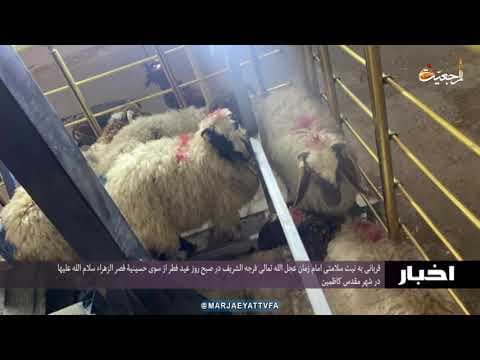 #اخبار روازنه 5 شوال 1442
